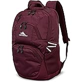 High Sierra Swoop SG Backpack, Travel or Work Laptop Bookbag with Drop Protection Pocket, and Tablet Sleeve, One Size, Maroon