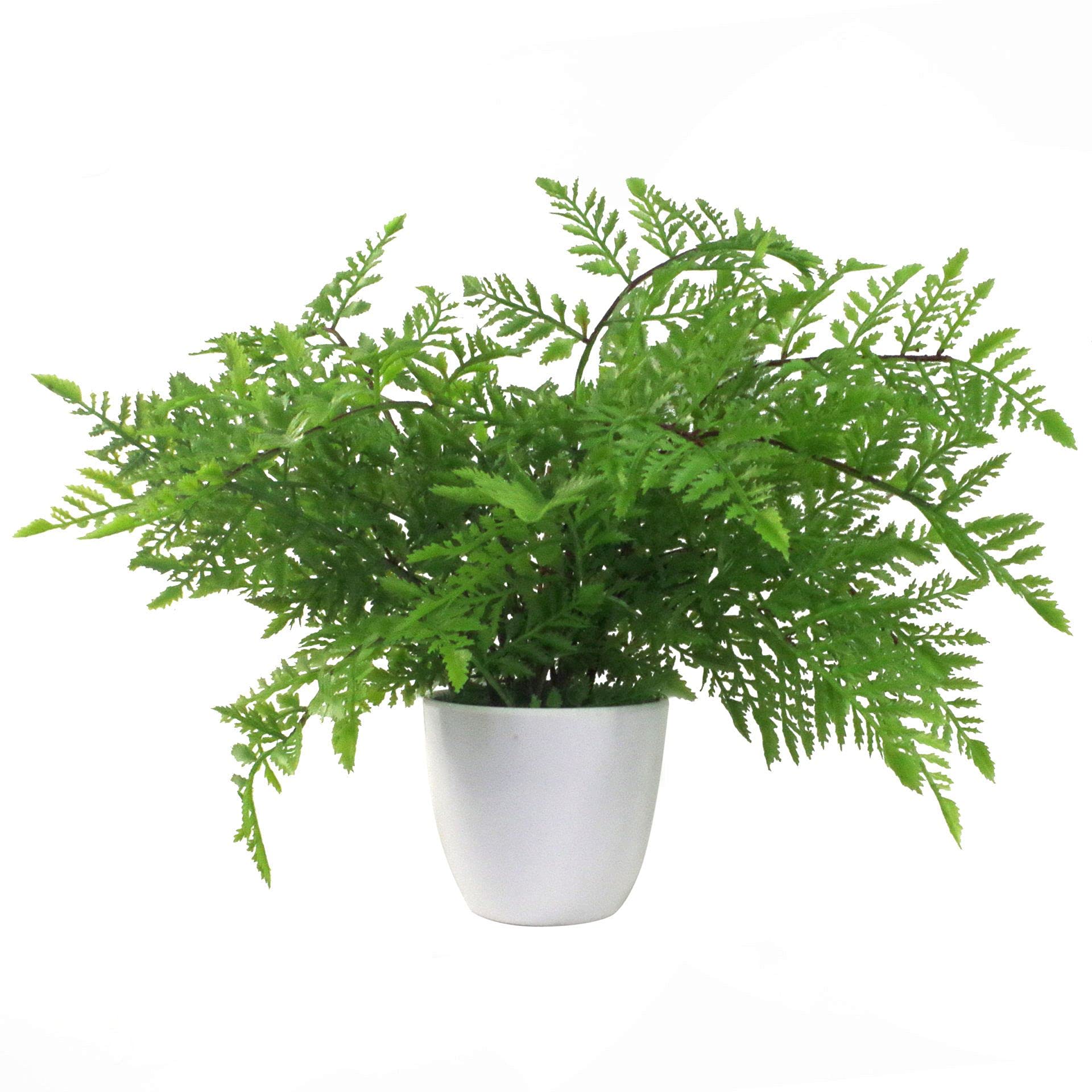 Leaf Design Realistic Artificial Fern Plant, 30cm