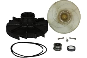 Wayne 62063-WYN1 Pump Certified Service Part, Black