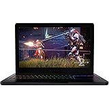 Razer Blade Pro Gaming Laptop - 17.3&rdquo; 120Hz Full HD display, Quad-Core Intel Core i7-7700HQ, GeForce GTX 1060 (VR Ready), 16GB RAM, 256GB SSD + 2TB HDD