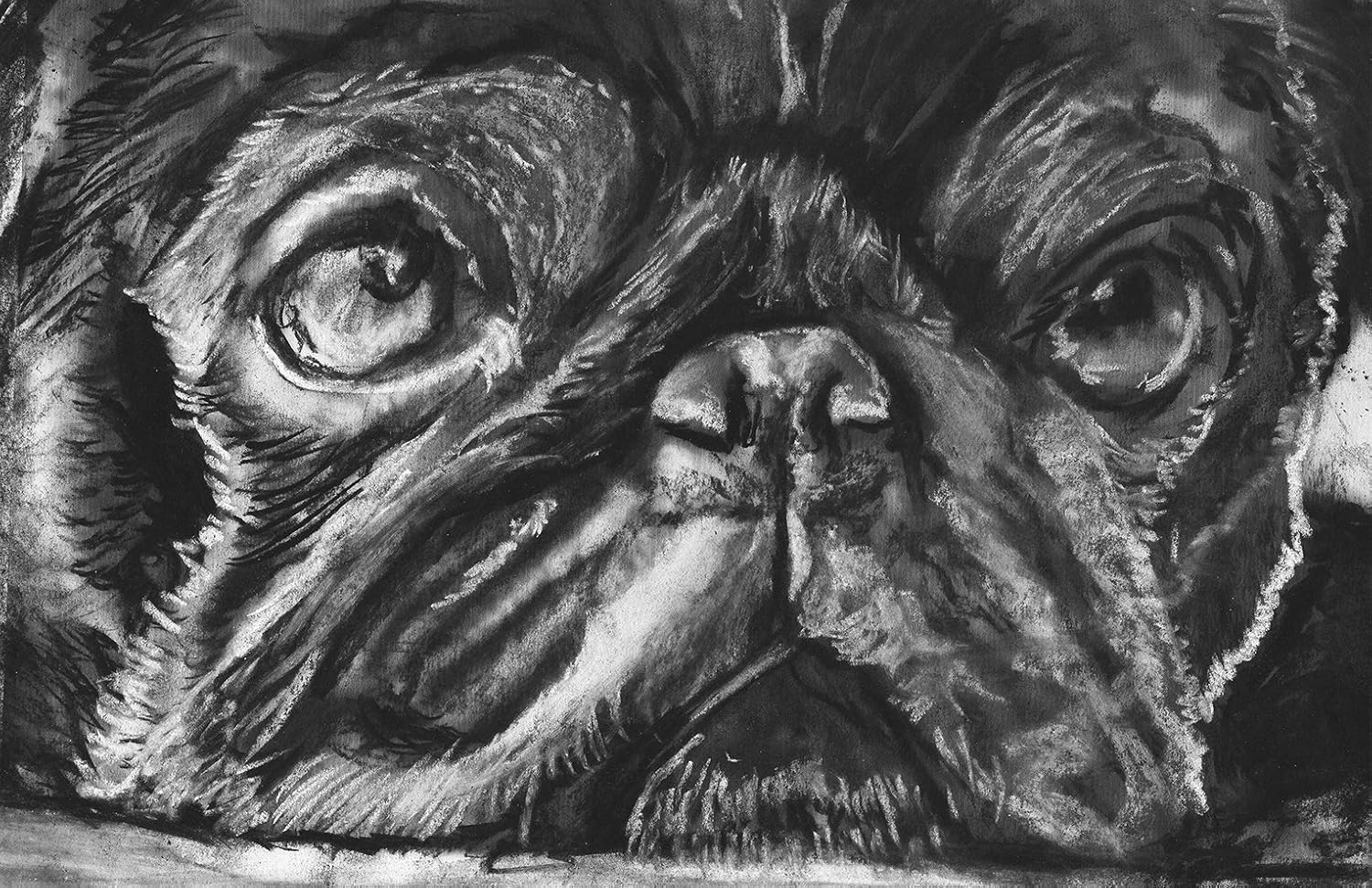 black and white dog wall art