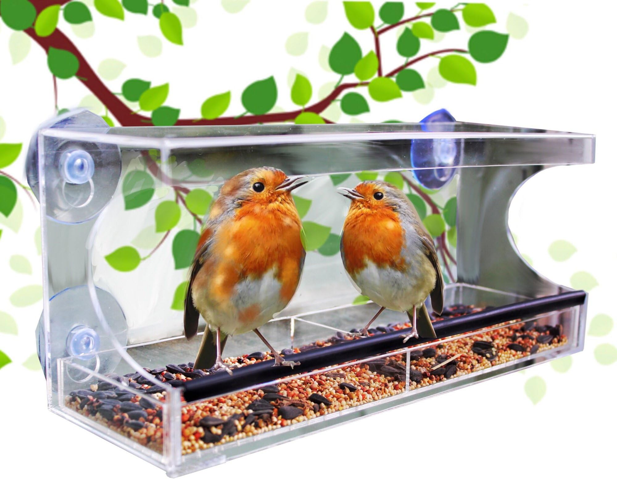 EkoGreene Large Window Bird Feeder with Clear Removable Self Draining Bird Feed Tray