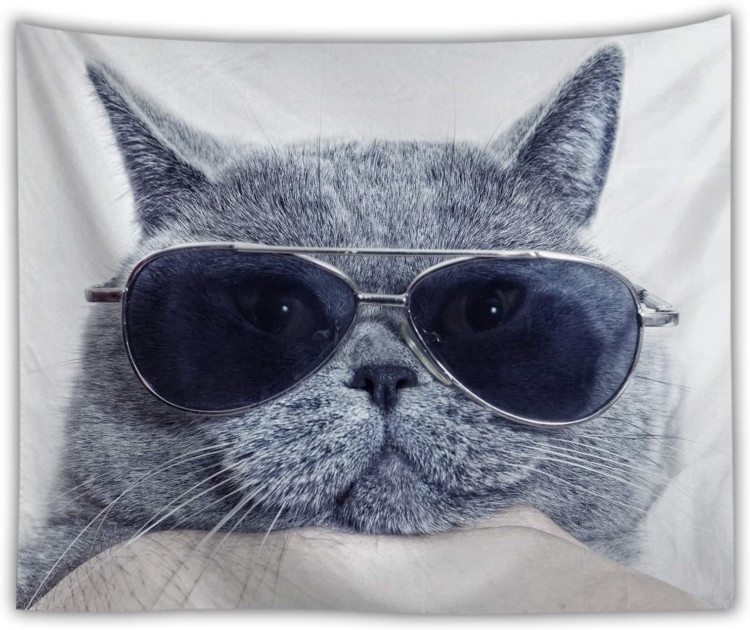 Sunnyillumine Playful as A Kitten Black and White Tapestry Lovely Wall Art Beach Throw Towel Yoga Mat (Playful Kitten 01)