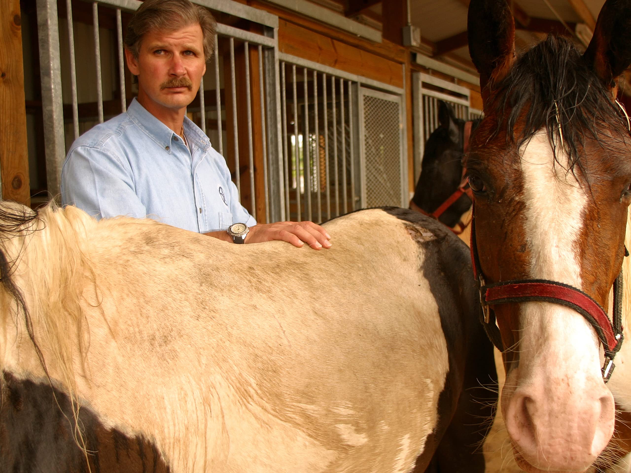 Watch Animal Cops Houston Season 3 Prime Video