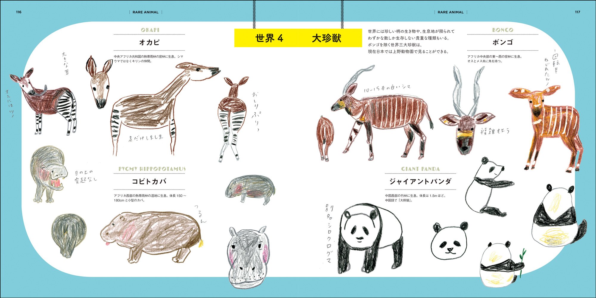 Chika Miyata S Drawing Zoo Animals ミヤタチカのお絵描き動物園 Chika Miyata Amazon Com Books