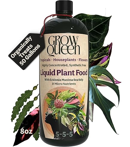 silver pothos Scindapsus 'Silvery Ann' 4"