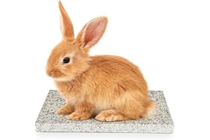 AUPETEK Chinchilla Cooling Stone Durable Cool Down Easy Clean in Hot Summer for Rabbit Hamster Guinea Pig Chinchilla Kitten Small Animals Spots of Gold-Grey