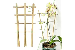 AVALUTION 16Inch 5Pack Bamboo Trellis for Climbing Plants, Garden Ladder Trellis for Potted Plants Indoor, Fan Shaped Small Plant Support Trellis for HousePlants Ivy Vine Monstera 3-4
