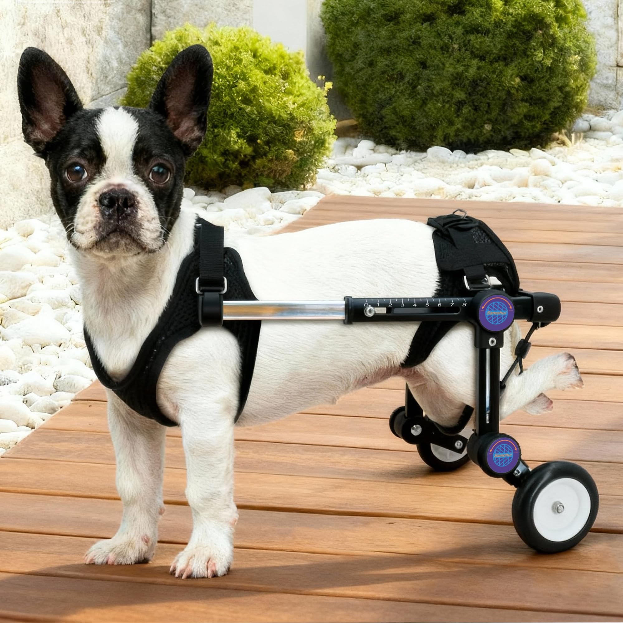 Photo 1 of LetPetRun Adjustable Dog Wheelchair for Hind Legs Support, Lightweight Pet Mobility Aid for Disabled or Injured Dogs, Stable Walking Dog Cart