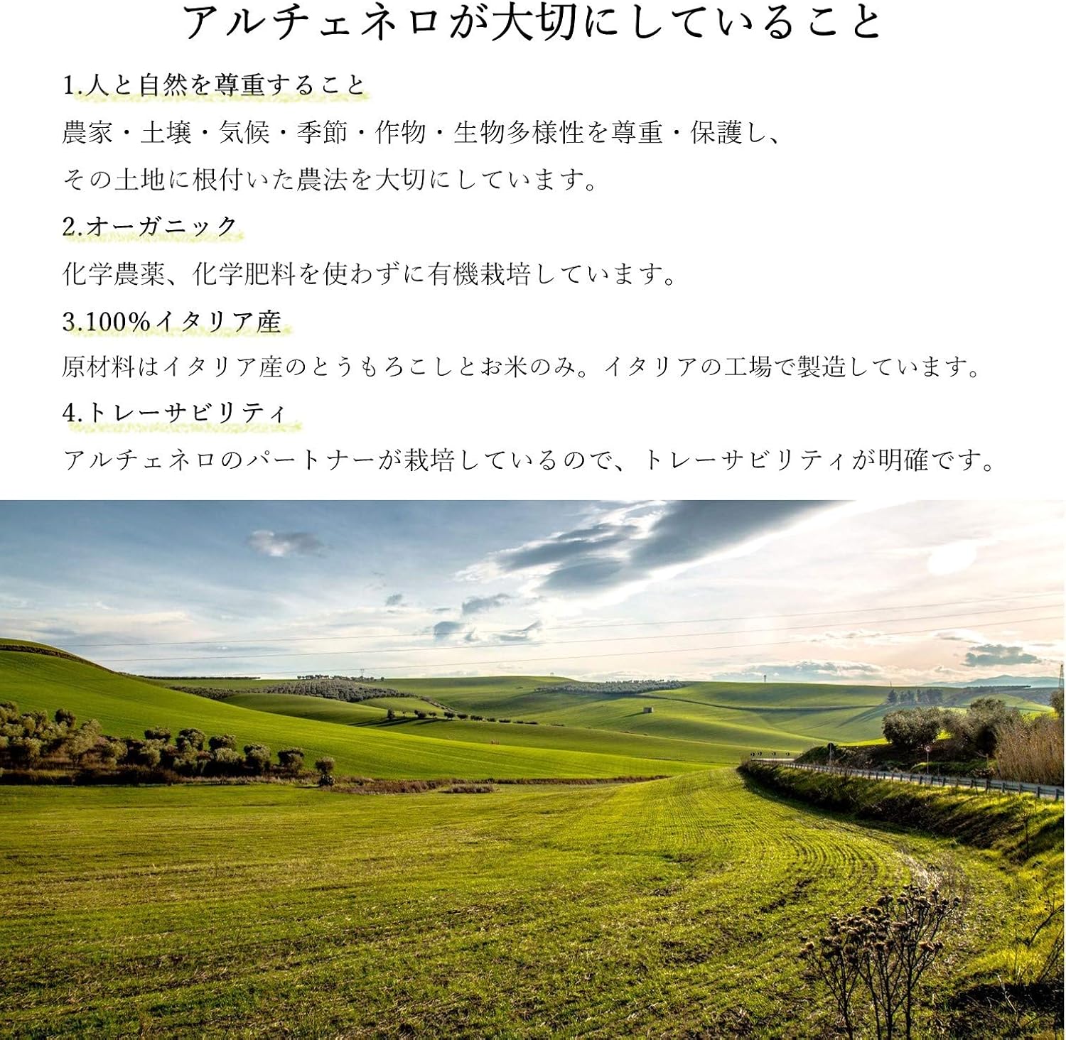 有機グルテンフリー・スパゲッティ