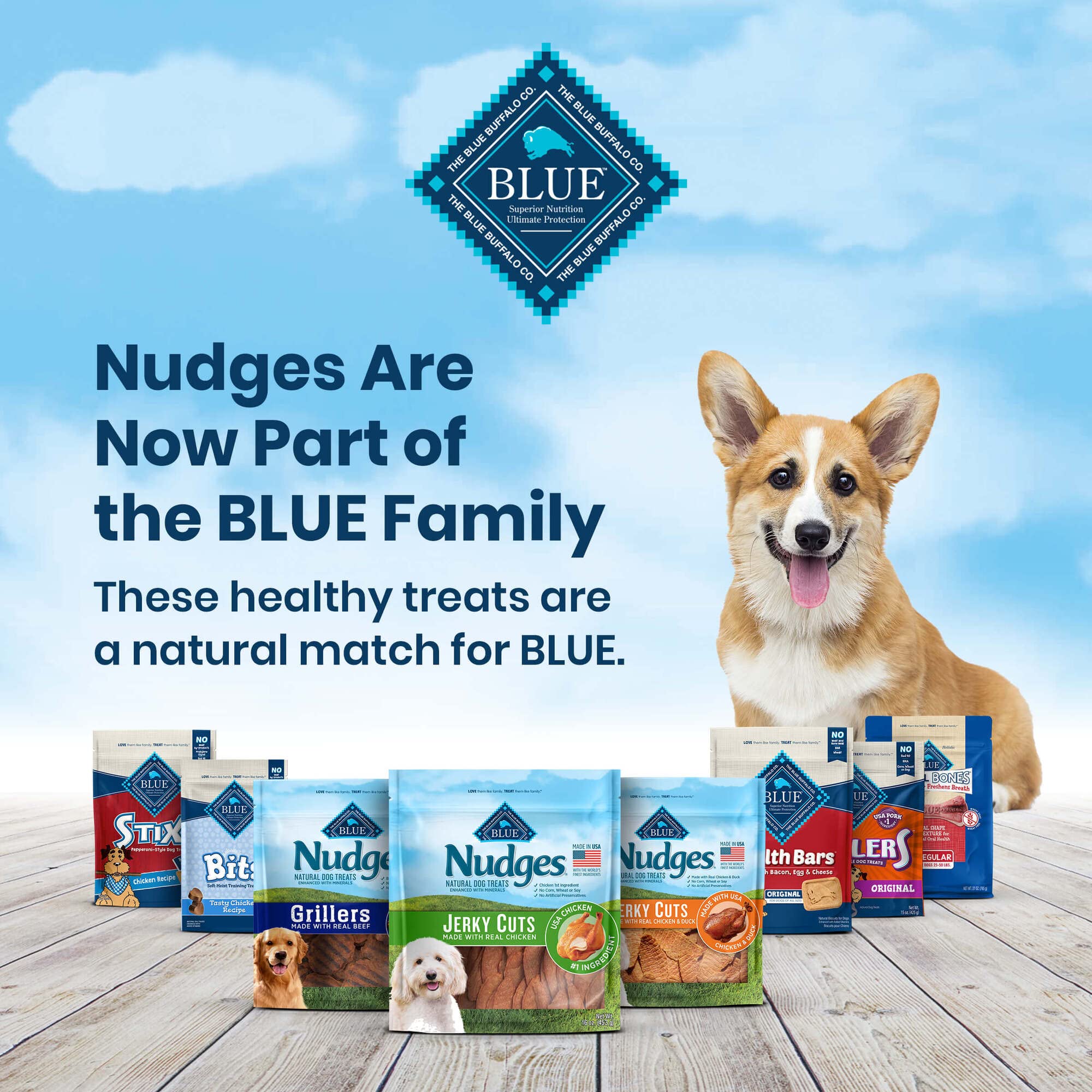 Blue Buffalo Nudges Jerky Cuts Natural Dog Treats, Beef, 16oz