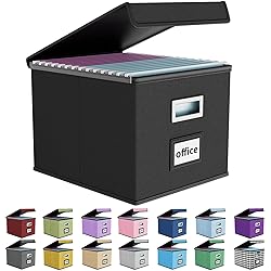 Huolewa Upgraded Portable File Organizer Box, Large