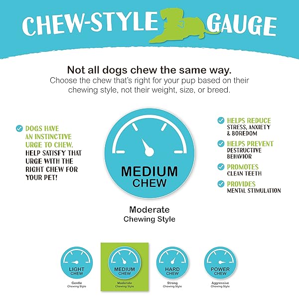 RAW PAWS STANDARD BULLY STICKS FOR SMALL DOGS, 6″ (10 PACK) – LOW ODOR JUNIOR BULLY CHEWS – FREE-RANGE PIZZLE STICKS FOR DOGS – SINGLE INGREDIENT DOG CHEWS – RAWHIDE ALTERNATIVE – LONG LASTING