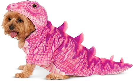 dog dinosaur hoodie