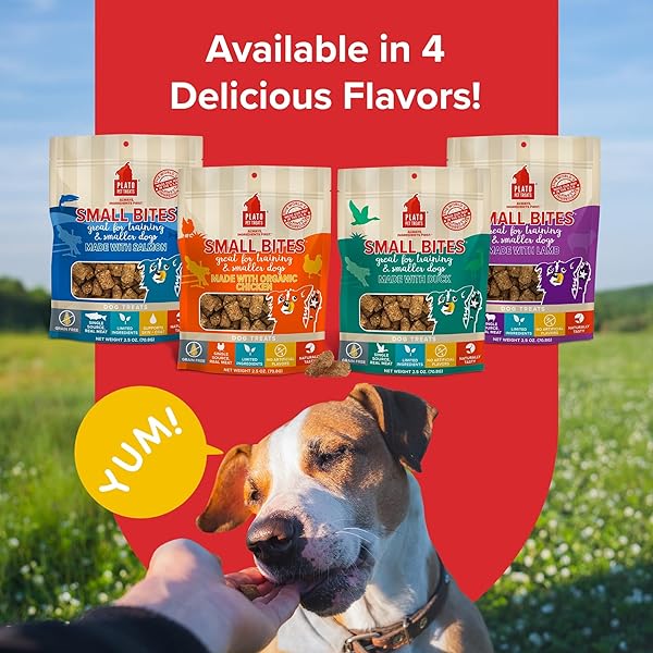PLATO SMALL BITES NATURAL TRAINING DOG TREATS – REAL MEAT – GRAIN FREE – MADE IN THE USA – ORGANIC CHICKEN FLAVOR, 6 OUNCES