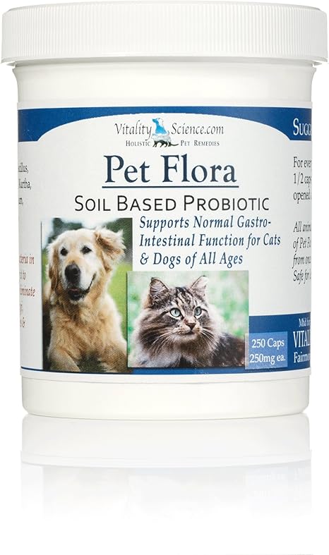 small rodent vets near me