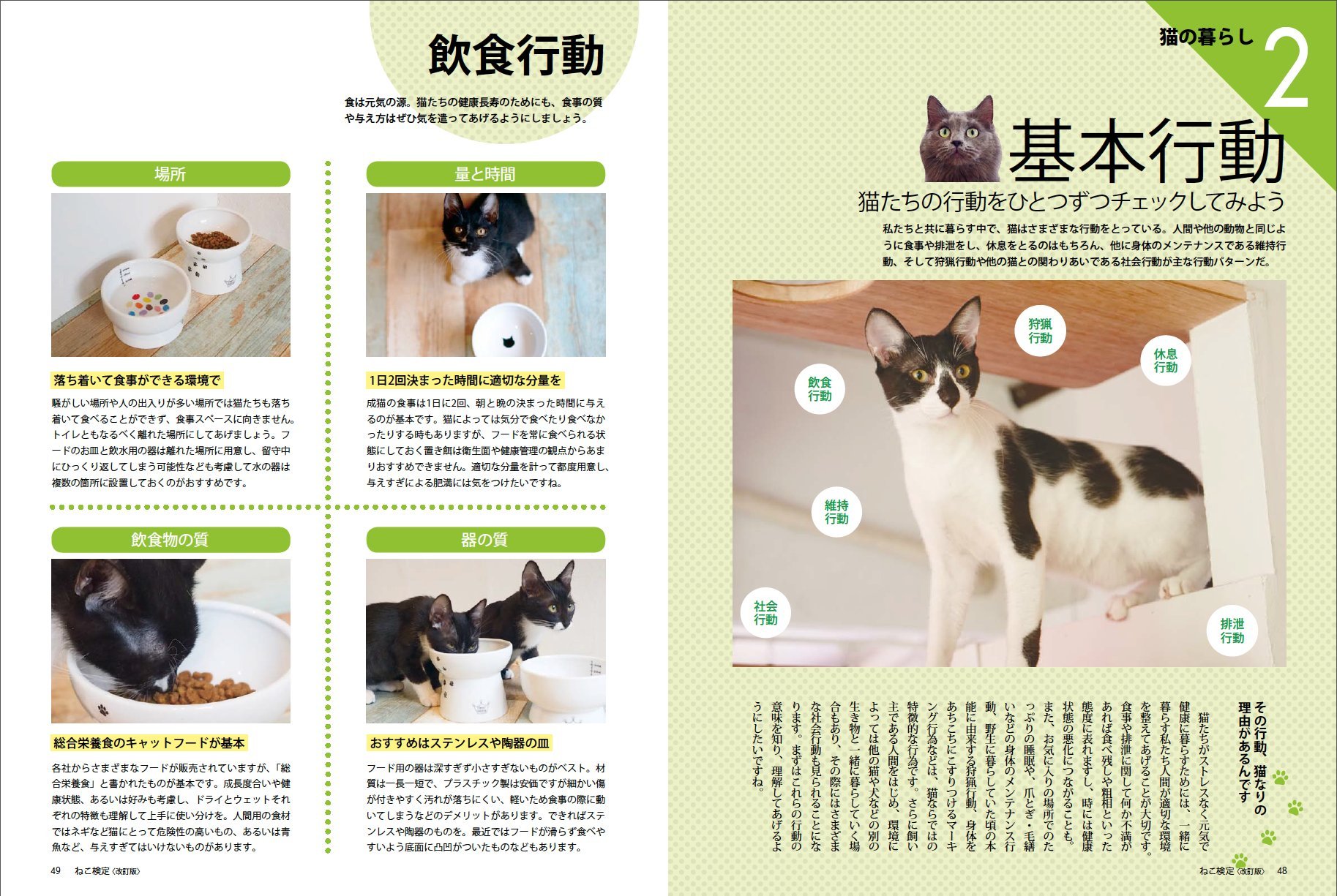 Cat Test Official Guide Book Rev 廣済堂 Besutomukku 370 Amazon Com Books