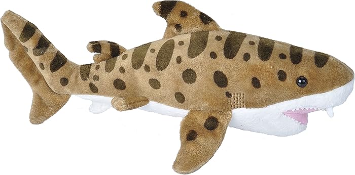 The 6 Best Leopard Shark Coloring Page