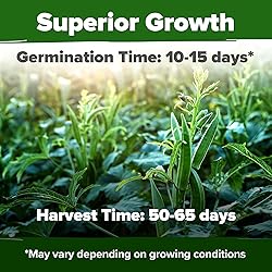 HOME GROWN