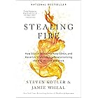 Stealing Fire: How Silicon Valley, the Navy SEALs, and Maverick Scientists Are Revolutionizing the Way We Live and Work
