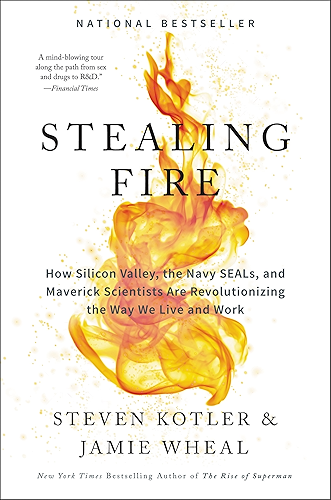 Download Stealing Fire: How Silicon Valley, the Navy SEALs, and Maverick Scientists Are Revolutionizing the Way We Live and Work (English Edition) PDF