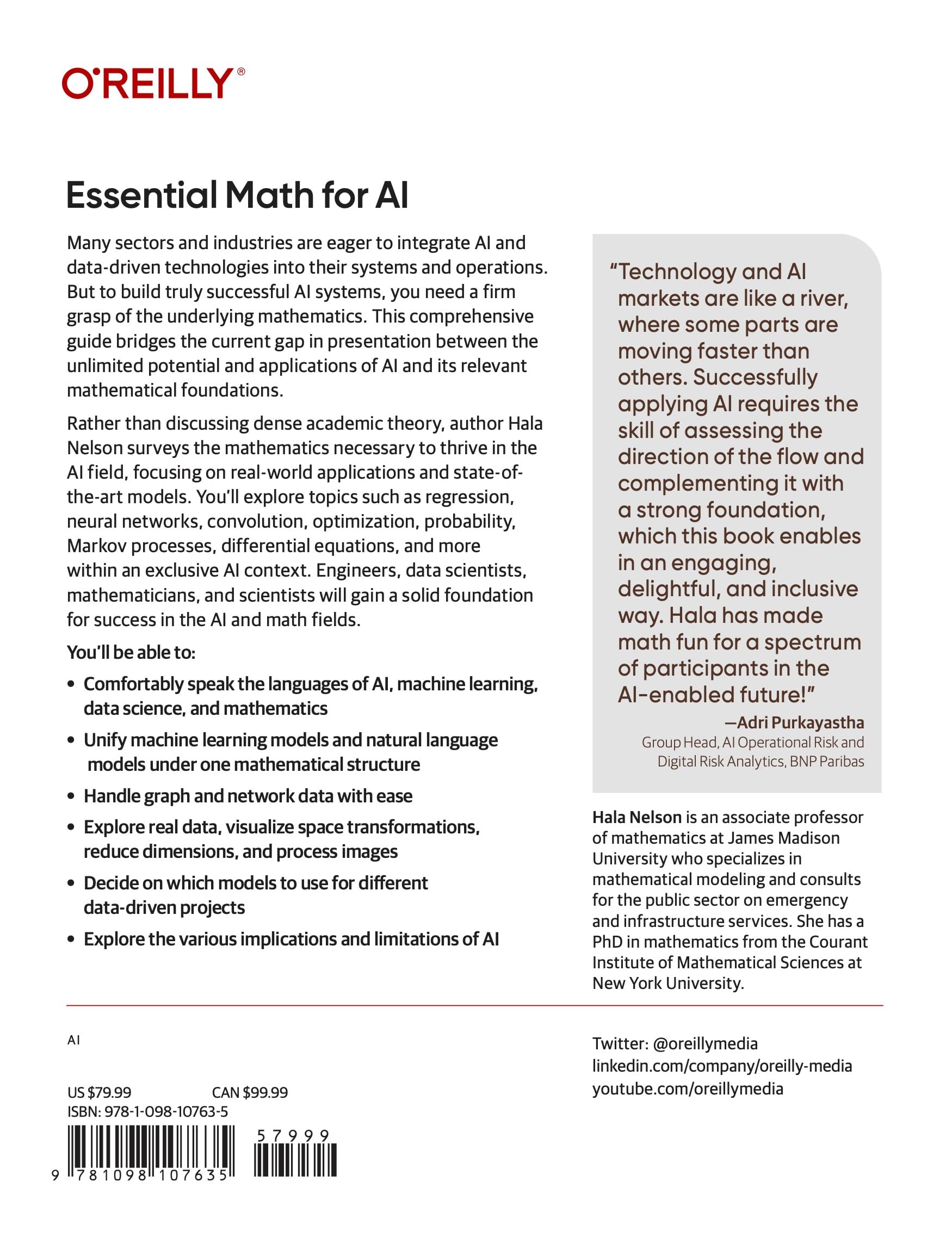 Essential Math for AI: Next-Level Mathematics for Efficient and Successful AI Systems
