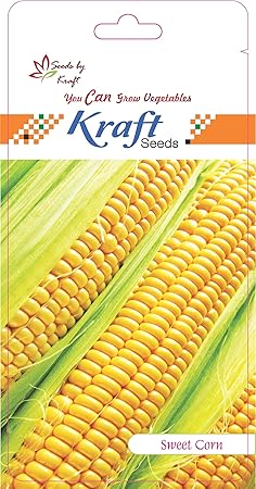 Sweet Corn F1 Hybrid Vegetable Seeds By Kraft Seeds