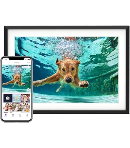 Amazon.com : Westinghouse 8-Inch LCD Digital Photo Frame : Digital