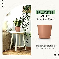 Utopia Home - Plant Pots Indoor with Drainage