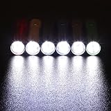 EverBrite 18-Pack LED Mini Pocket Torch with Batteries Included view 6