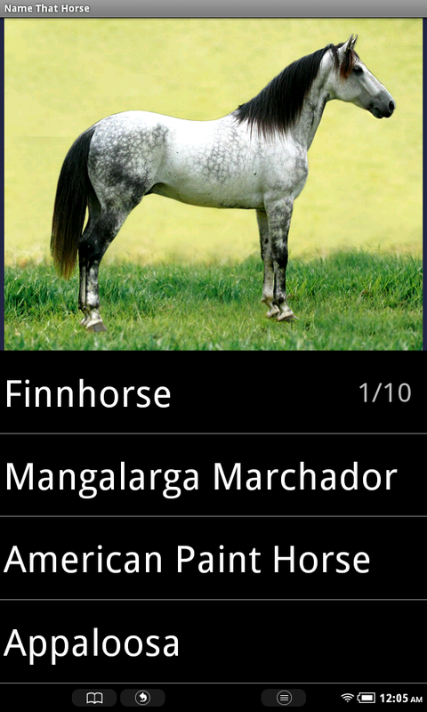Name That Horse Breed - Thumbnail 2