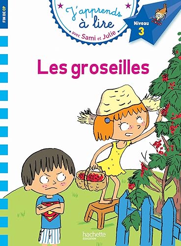 Download Sami et Julie CP Niveau 3 Les Groseilles PDF
