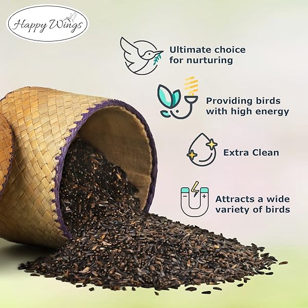 HAPPY WINGS NYJER/THISTLE SEEDS WILD BIRD FOOD – 5 POUNDS I NO GROW SEED I BIRD SEED FOR WILD BIRDS