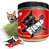 Fiend Premium Catnip, Enhanced with SILVERVINE Leaf