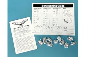 MOUNTAIN HOME BIOLOGICAL Owl Pellets (Set of 10 with Bone Chart)