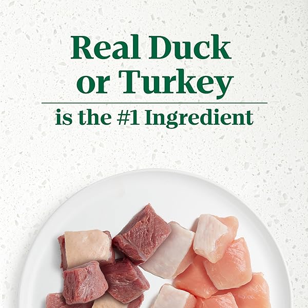NUTRO ULTRA WET DOG FOOD GRAIN FREE FILETS IN GRAVY DUCK & ROASTED TURKEY VARIETY PACK, 3.5 OZ. TRAYS (12 COUNT, PACK OF 1)