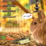 ERKOON Rabbit Chew Toys 10 Types Natural Small Animal Treats Enrichment view 4