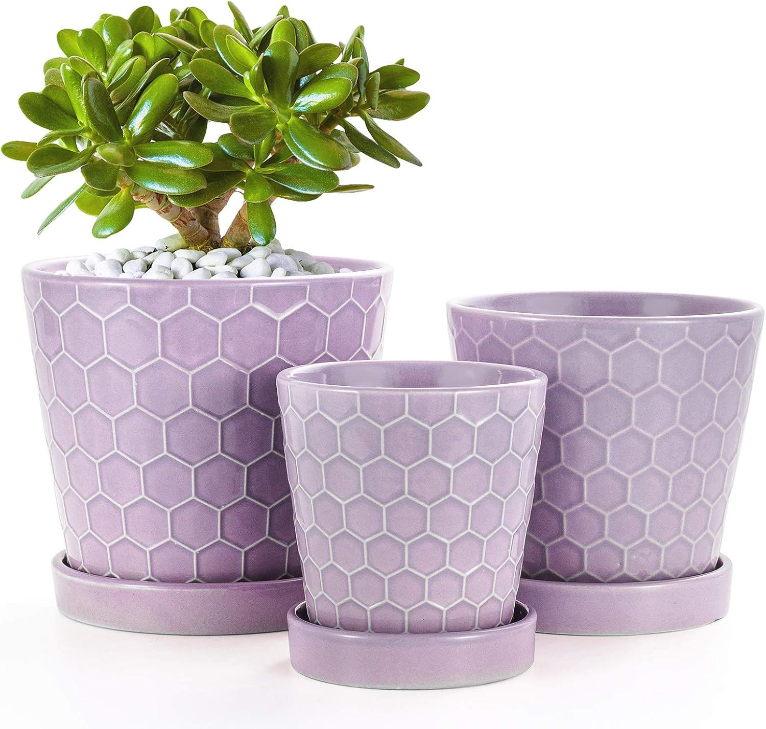 BUYMAX Succulent Planter –4”+5”+6” Ceramic Flower Pot with Drainage Hole and Ceramic Tray - Gardening Home Desktop Office Windowsill Decoration Gift Set 3 - Plants NOT Included (Purple)