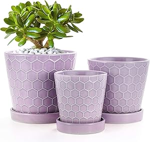 BUYMAX Succulent Planter –4”+5”+6” Ceramic Flower Pot with Drainage Hole and Ceramic Tray - Gardening Home Desktop Office Windowsill Decoration Gift Set 3 - Plants NOT Included (Purple)