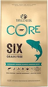 Wellness Core Natural