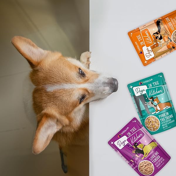 WERUVA DOGS IN THE KITCHEN, VARIETY PACK, POOCH POUCH PARTY!, WET DOG FOOD, 2.8OZ POUCHES (PACK OF 12)