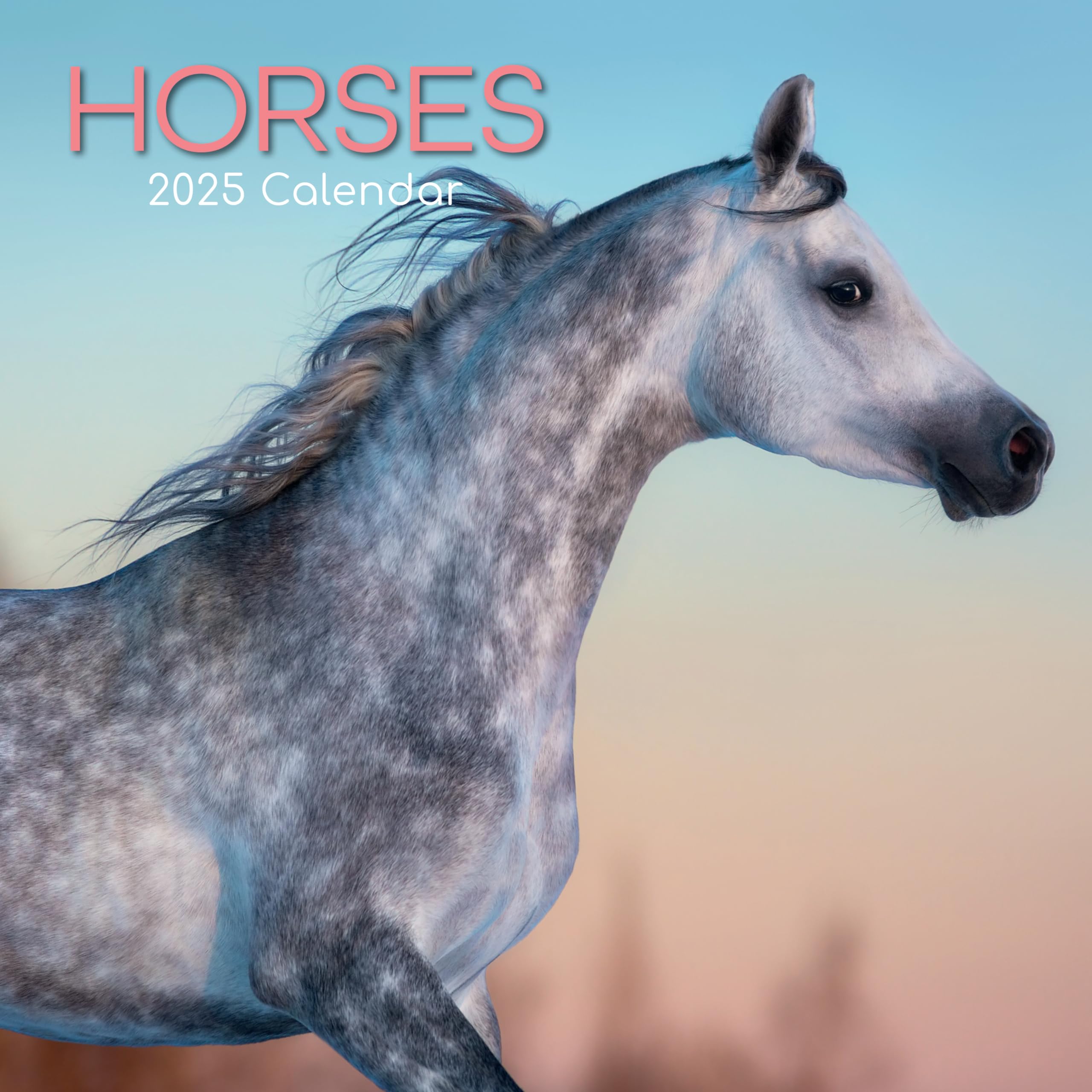 2025 Square Wall Calendar, Horses, 16-Month Animals Theme with 180 Reminder Stickers (30 x 30 CM)
