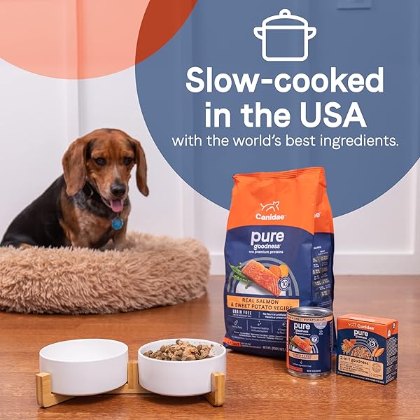 CANIDAE PURE BONE BROTH TOPPER WITH REAL SALMON & RICE WET DOG FOOD, 5.5 OZ. (CASE OF 12)