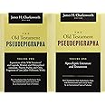 The Old Testament Pseudepigrapha ( 2 Volume set)