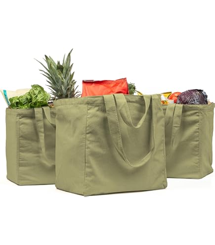 WISELIFE Paquete De 10 Bolsas De Compras Ecológicas, Reutilizables, Grandes Y Plegables, Con Asa Larga, A Granel, Para Ropa, Comestibles, Frutas Y Verduras (Plaza D