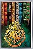 Trends International The Wizarding World: Harry