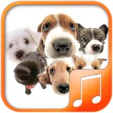 Dog Sounds