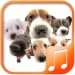 Dog Sounds
