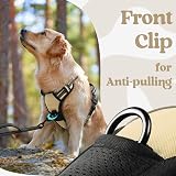 rabbitgoo Dog Harness Large No Pull Adjustable Reflective Beige L view 7