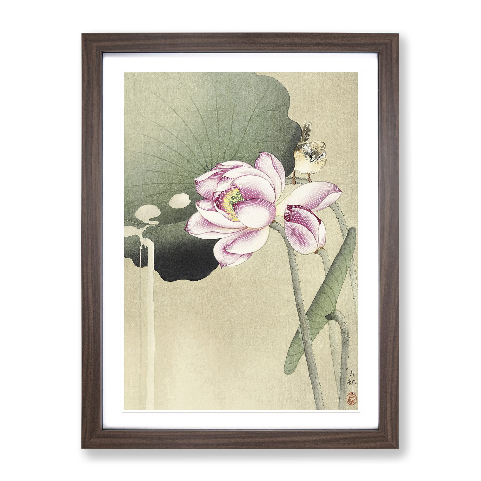 Songbird & Lotus By Ohara Koson Asian Japanese Framed Wall Art Print, Ready to Hang Picture for Living Room Bedroom Home Office Décor, Walnut A3 (34 x 46 cm)